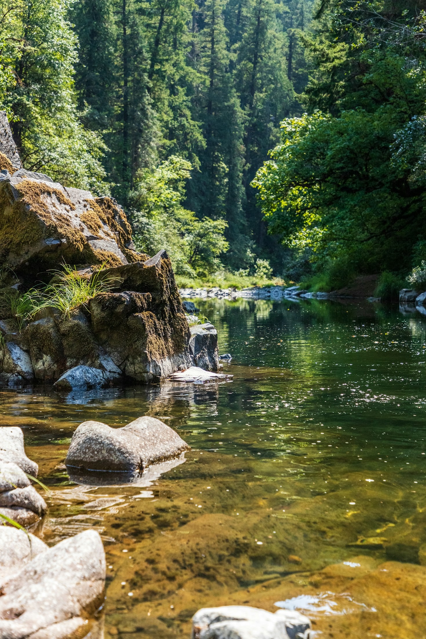 Como preservar a natureza da Costa Vicentina